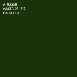 #1B330B - Palm Leaf Color Image